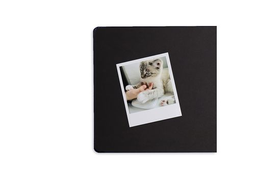 фото 4 - Фотоальбом "Family and friends" ORNER