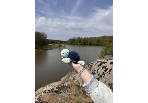 зображення 6 - Іграшка черепашка Toys Breeze