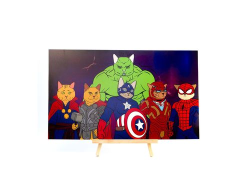 фото 1 - Постер с изображением "Catvel" Kitek Wear