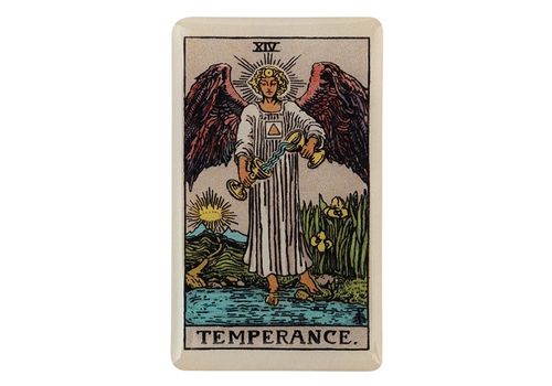 зображення 1 - Об'ємний стікер "Таро Помірність" NokNok