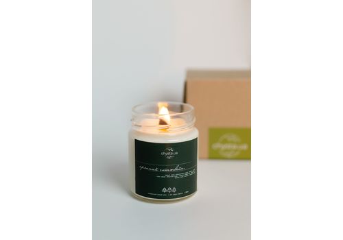 зображення 1 - Cоєва свічка "Пряний глінтвейн", 200мл Chysta.ua