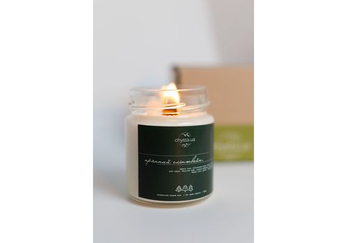 зображення 2 - Cоєва свічка "Пряний глінтвейн", 200мл Chysta.ua