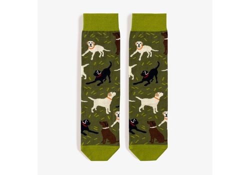 фото 1 - Шкарпетки "Лабрадори" Prizmo