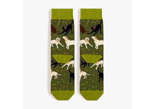 фото 4 - Шкарпетки "Лабрадори" Prizmo