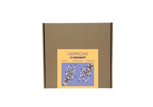 зображення 11 - Коробка UA Made крафтова велика