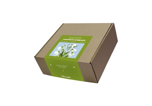 зображення 15 - Коробка UA Made крафтова велика