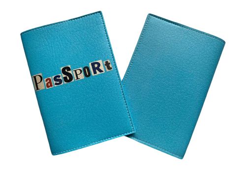фото 1 - Обложка для паспорта NaBazi "Passport Blue"