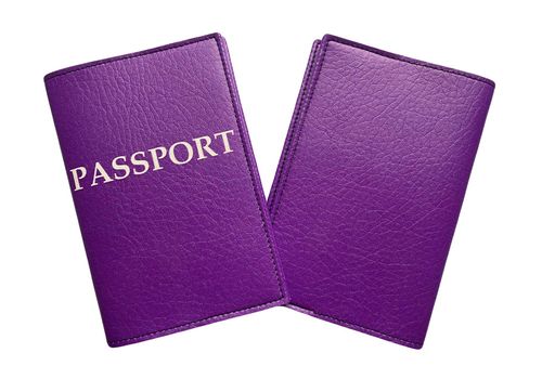 фото 1 - Обложка для паспорта "Passport Purple" NaBazi